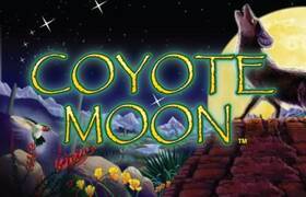 Coyote Moon