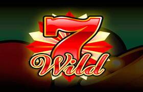 Wild 7