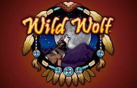 Wild Wolf